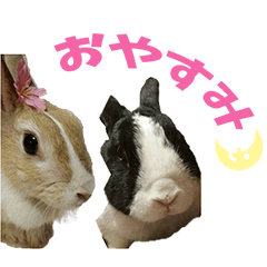 [LINEスタンプ] うちのうさぎ達。