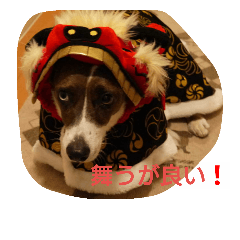 [LINEスタンプ] sarara2