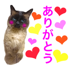 [LINEスタンプ] ゼムくん