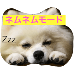 [LINEスタンプ] omoti day