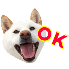 [LINEスタンプ] shiroshiba-haruta