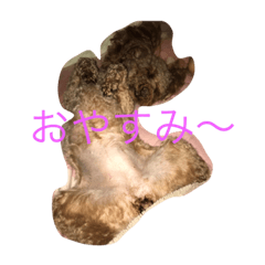 [LINEスタンプ] あねち