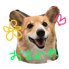 [LINEスタンプ] 珍獣狂犬百々ちゃん13歳
