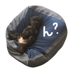 [LINEスタンプ] copi