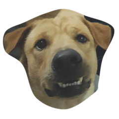 [LINEスタンプ] Giant Dog Dog