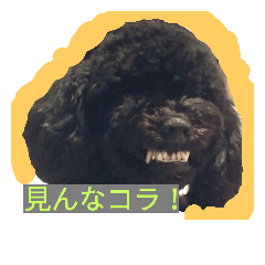 [LINEスタンプ] kyouken