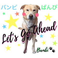 [LINEスタンプ] バンビ~真似して作ってみたver.~