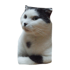 [LINEスタンプ] ねこのスタンプpart2