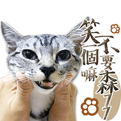 [LINEスタンプ] 魚だけもはやない