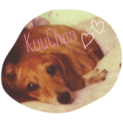 [LINEスタンプ] I LOVE YOU！！