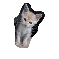 [LINEスタンプ] 我が家の暴君天使