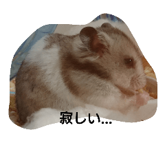 [LINEスタンプ] hamsterStamp