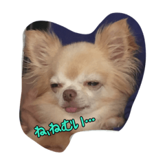 [LINEスタンプ] れんじゃーず