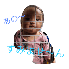 [LINEスタンプ] みゆそして、みゆ