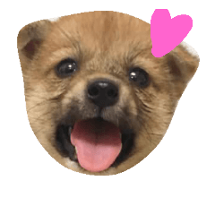 [LINEスタンプ] 陽丸スタンプ