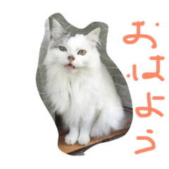 [LINEスタンプ] ぐーちゃんとえみちゃん2