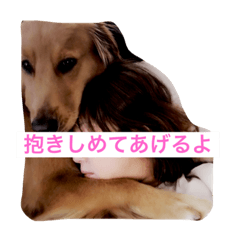 [LINEスタンプ] ゴールデンレトリバーダディ