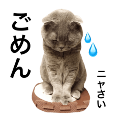 [LINEスタンプ] ここめいらんど 2