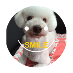 [LINEスタンプ] よく使う言葉：写真