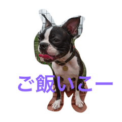[LINEスタンプ] akotty