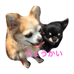[LINEスタンプ] りるねね