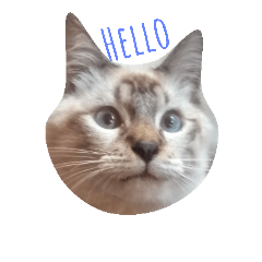 [LINEスタンプ] Miaw's