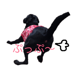 [LINEスタンプ] 黒ラブVivi＆チョコラブKelly