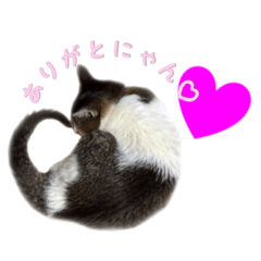 [LINEスタンプ] mimi7.1