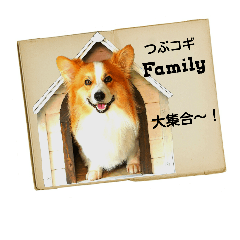 [LINEスタンプ] つぶコギファミリー大好き