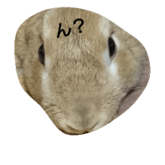 [LINEスタンプ] うさぎのまろ
