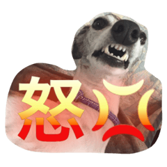 [LINEスタンプ] ラブ ウィペット