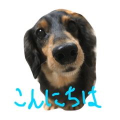 [LINEスタンプ] pinortamp2