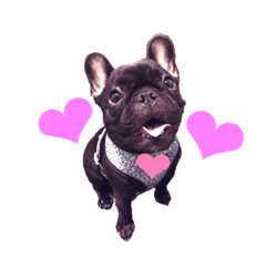 [LINEスタンプ] フレブルGちゃん