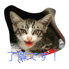 [LINEスタンプ] よろず屋
