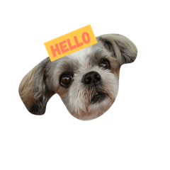 [LINEスタンプ] Sushi The Dog