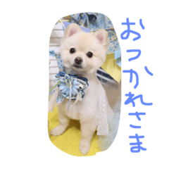 [LINEスタンプ] もなスタンプ