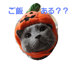 [LINEスタンプ] TAKUKOMA