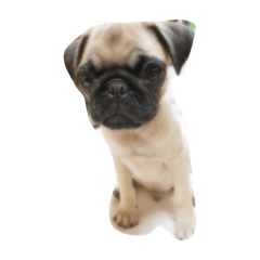 [LINEスタンプ] lovemydogADI