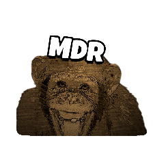 [LINEスタンプ] Dami the monkey