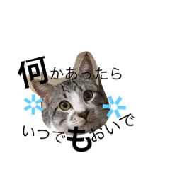 [LINEスタンプ] ふうた君♥︎♥︎