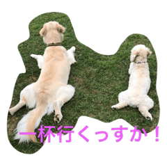 [LINEスタンプ] モフモフの独り言
