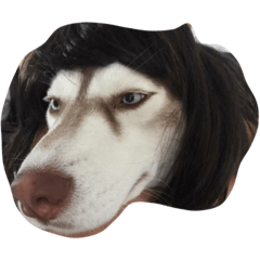 [LINEスタンプ] Copper Mini Husky