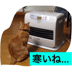 [LINEスタンプ] おしゃべり猫のミュウ