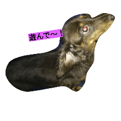 [LINEスタンプ] 幸美＆奈菜