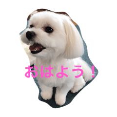 [LINEスタンプ] chil95