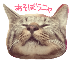 [LINEスタンプ] オキジオシロ