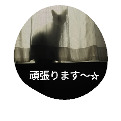 [LINEスタンプ] Think rich, look poor.