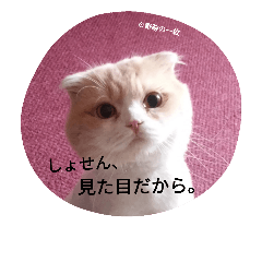 [LINEスタンプ] ぬけさくの日常 3