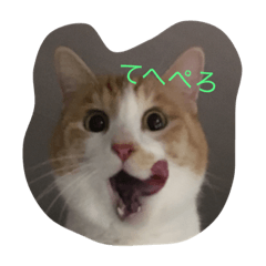 [LINEスタンプ] on716780