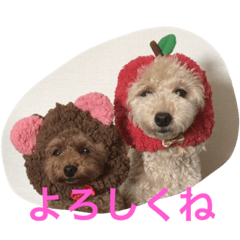 [LINEスタンプ] nanakai